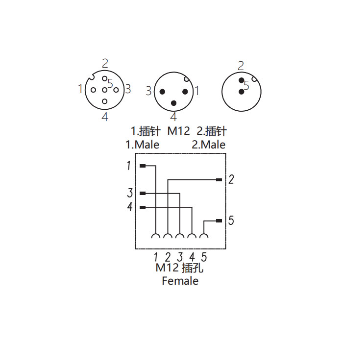 M12 5Pin母頭/M12 3Pin公頭+M12 2Pin公頭、三通接頭、645231