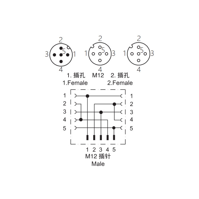 M12 5Pin male/2M12 5Pin female 、Y-connector、644481