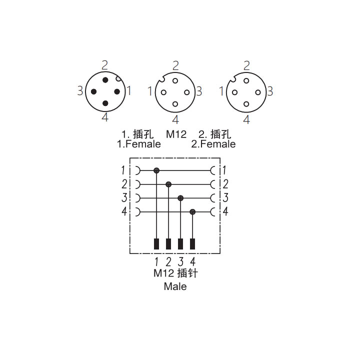 M12 4Pin公頭/2M12 4Pin母頭、Y型插接器、644442