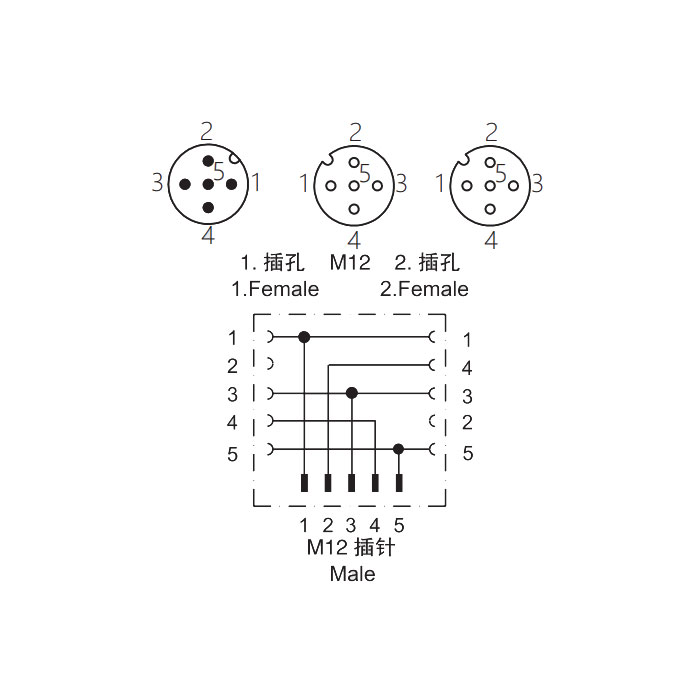 M12 5Pin公頭/2M12 5Pin母頭、Y型插接器、644441