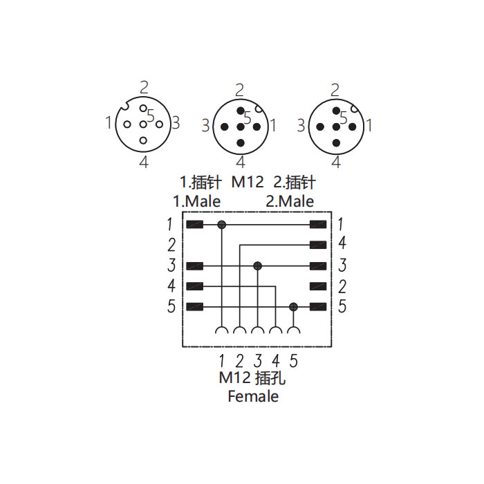 M12 5Pin母頭/2M12 5Pin公頭、三通接頭、644446