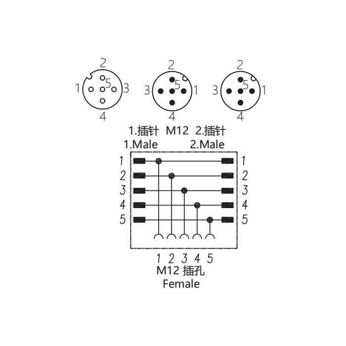 M12 5Pin female/2M12 5Pin male、Y-connector、644456