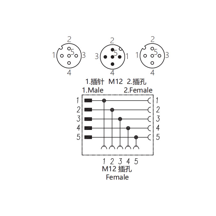 M12 5Pin母頭/M12 5Pin公頭+M12 5Pin母頭、三通接頭、644443