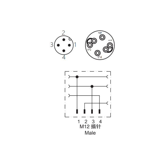 M12 4Pin、公頭直型、直插式連接、Y型分線器、64FX21