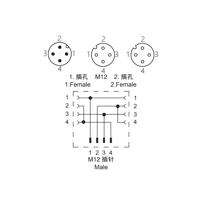 M12 4Pin公頭/2M12 4Pin母頭、Y型插接器、644461