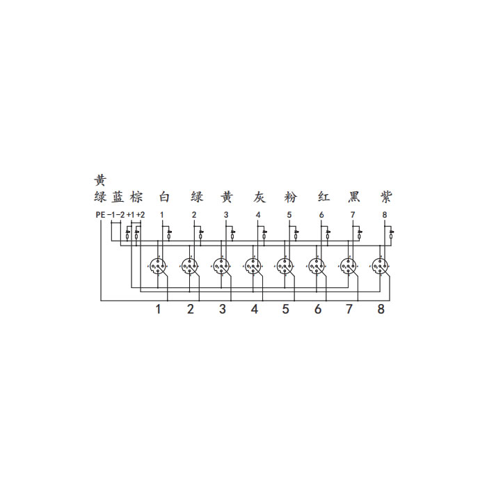 M12分線盒、單通道、PNP、8端口分體式、帶LED、PCB端子、24P80E