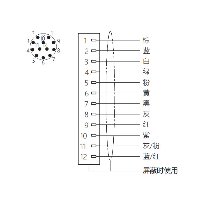 M12 12Pin、公頭直型、法蘭插座、板后安裝、適用于現場焊接安裝、64SC81H