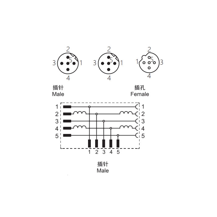 M12 5Pin母頭/2M12 5Pin公頭、B-coded 、T型連接器、0C5555