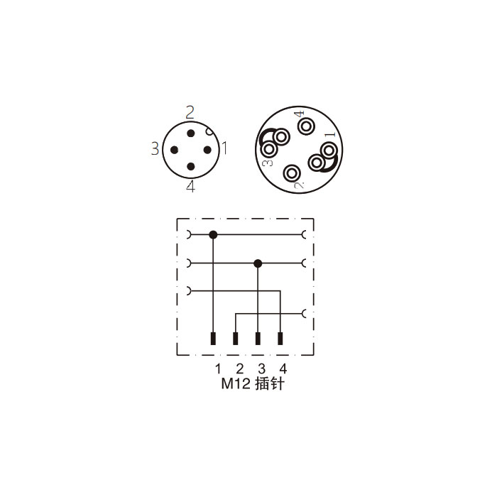 M12 4Pin、公頭直型、直插式連接、食品級、Y型分線器、64FX29